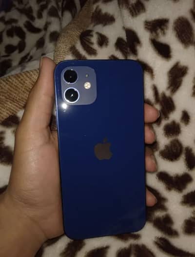 Ip 12 03187843613 WhatsApp