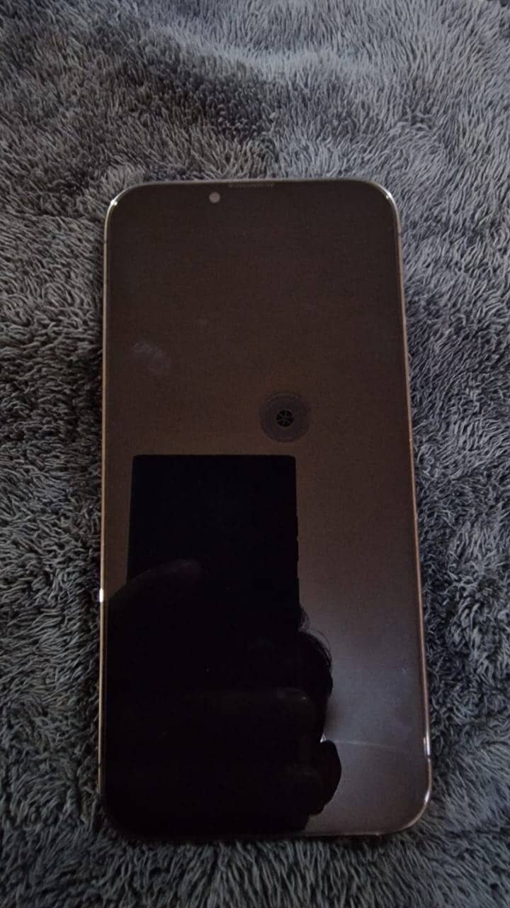 iPhone 13 Pro Max 2