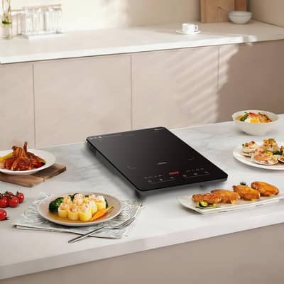 induction cooker catro company