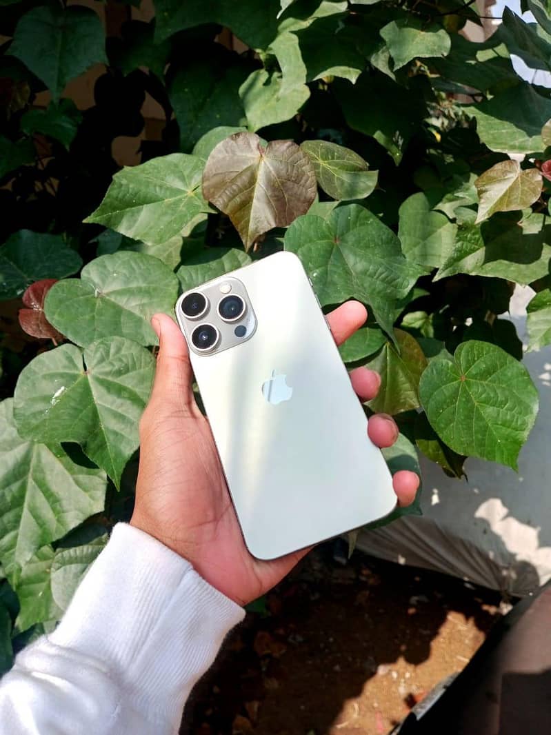 Apple iPhone 13 Pro Max 1