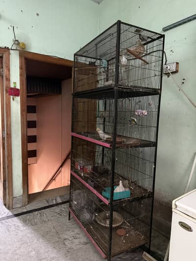 8 portion Iron Cage