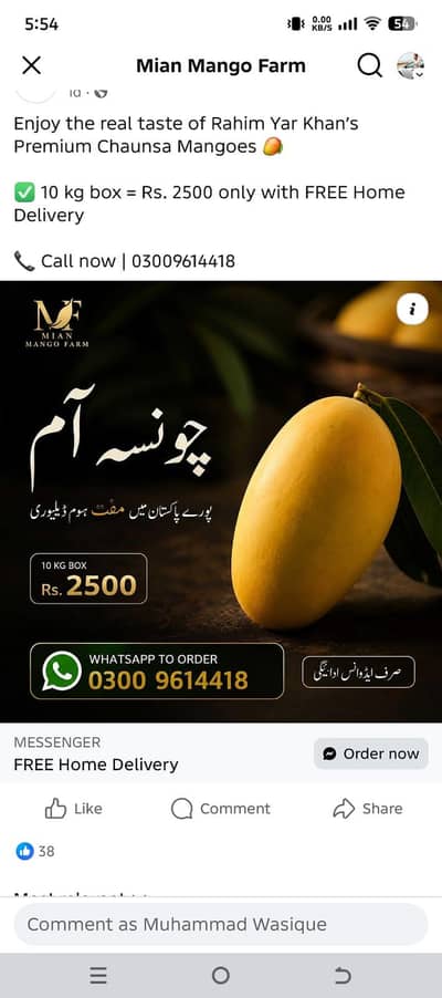 Chounsa Mango available deliverry all over Pakistann