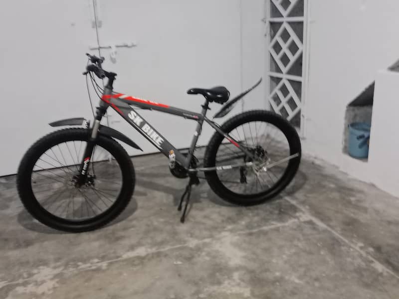 bycycle 1