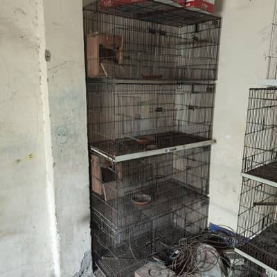 Multiple cages in reasonable price