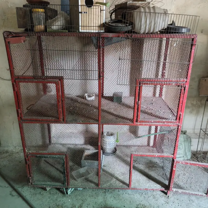 Multiple cages in reasonable price — photo 2