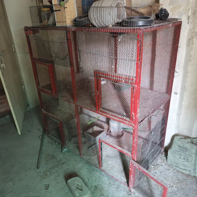 Multiple cages in reasonable price — photo 3