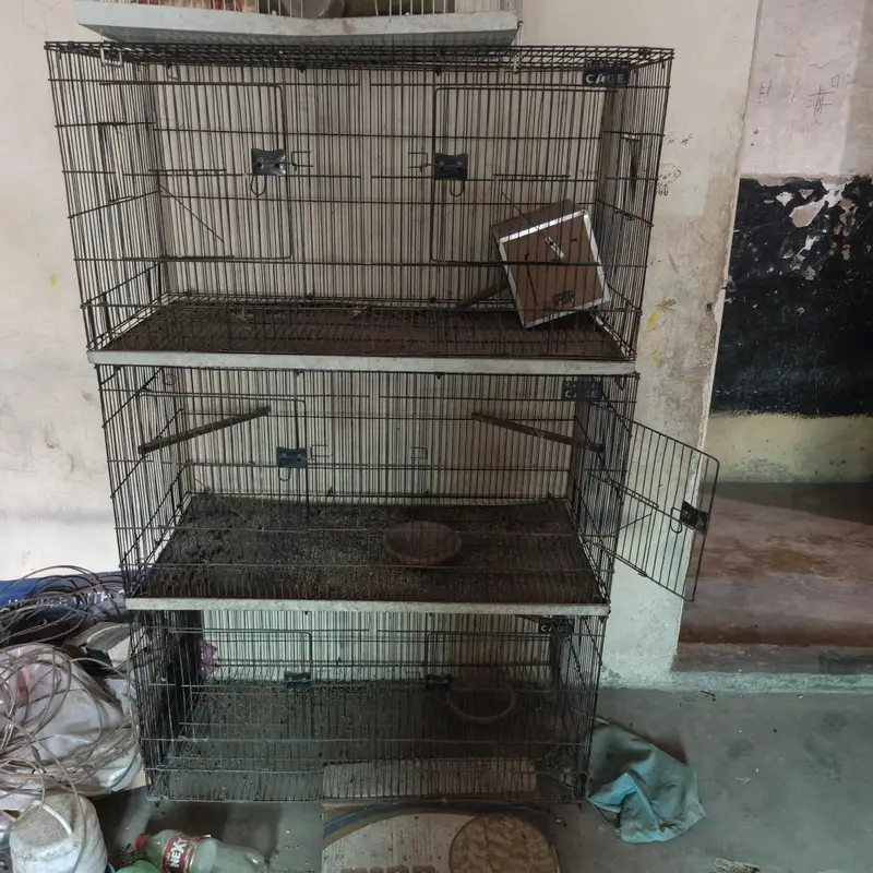 Multiple cages in reasonable price — photo 4