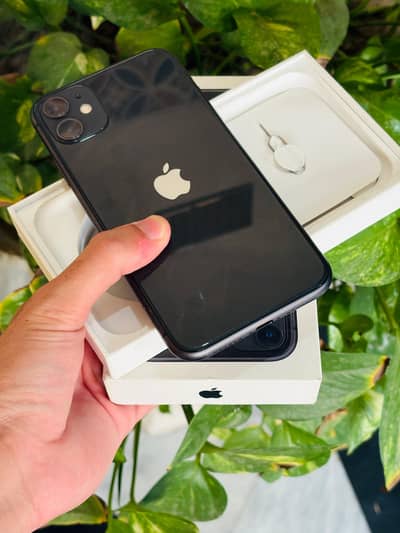 Apple iPhone 11 waterpack with box 98% health