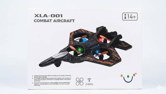 RC Fighter jet