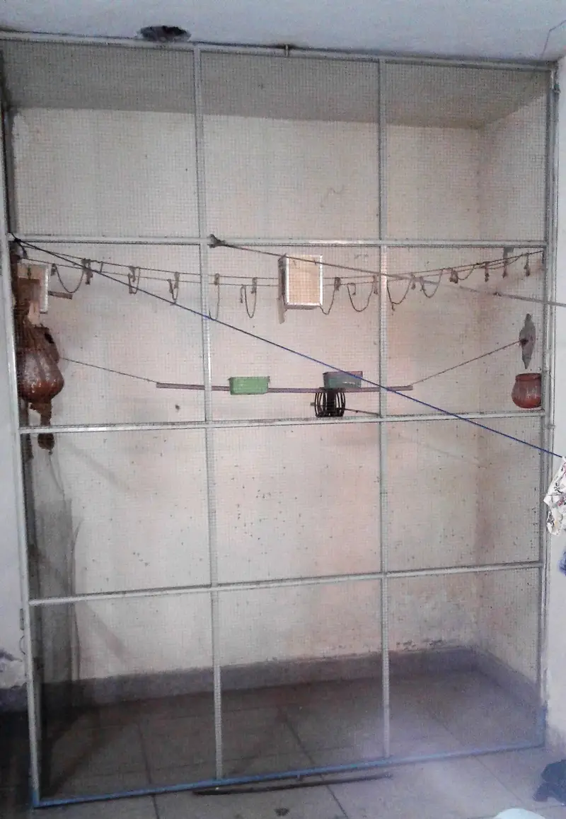 Cage For Sale. . — photo 2