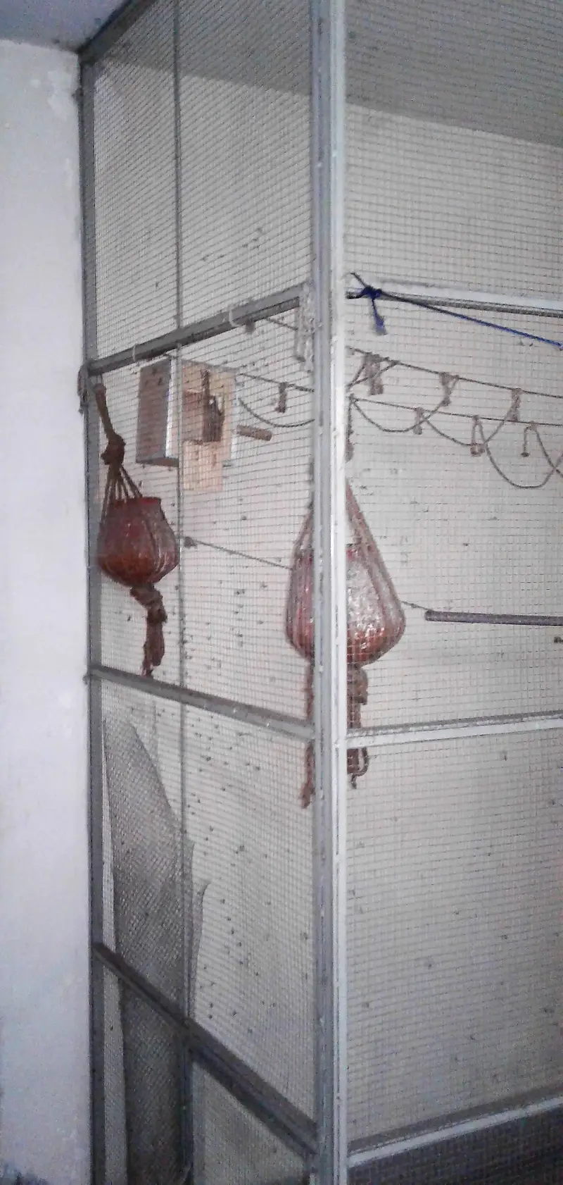 Cage For Sale. . — photo 3