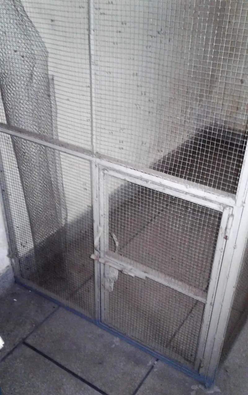 Cage For Sale. . — photo 4