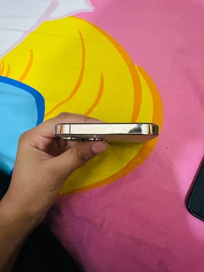 iphone 13 pro max non-pta (waterpack)