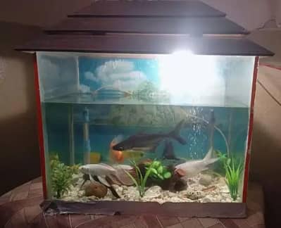 Aquarium for sell