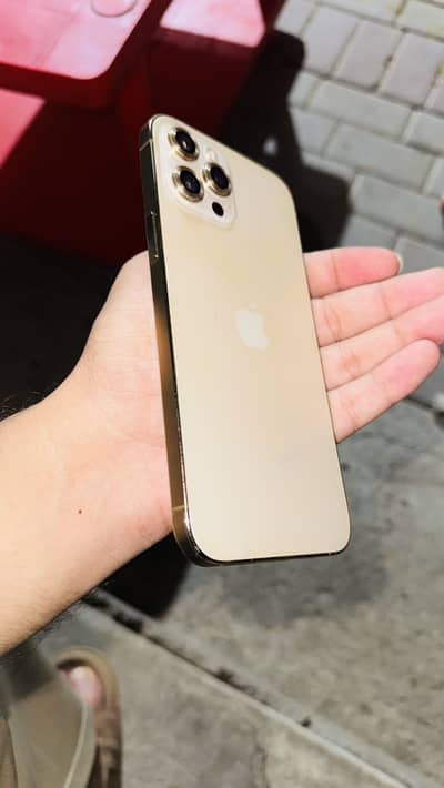 Apple iPhone 12 Pro Max