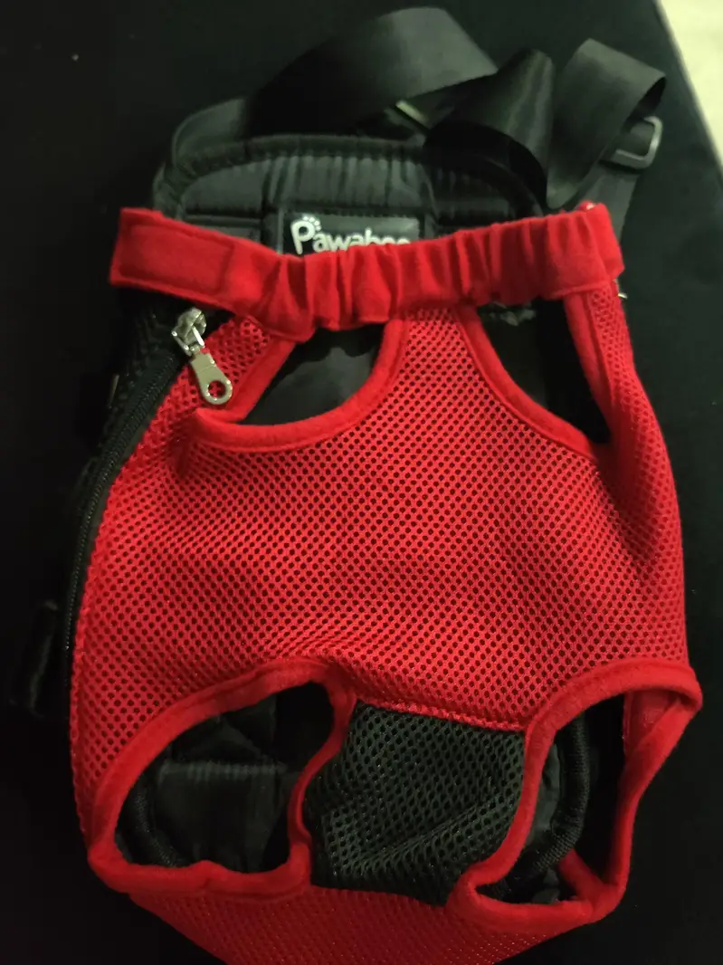 pet bag (small dogs and cats) — photo 2