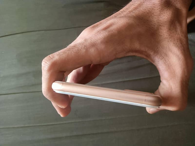 Apple iPhone 8 Plus 4
