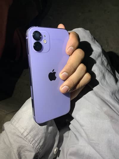 Apple iPhone 12