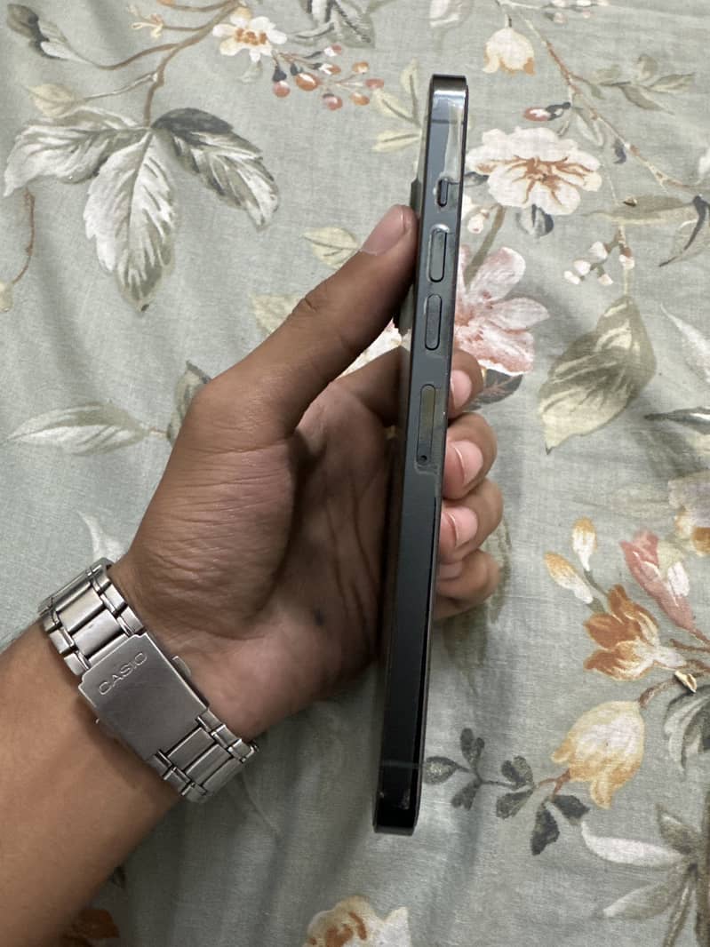 Apple iPhone 13 Pro Max 1