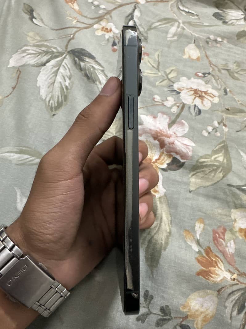 Apple iPhone 13 Pro Max 3