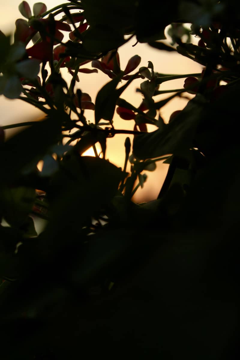 Canon EOS 4000d Camera 3