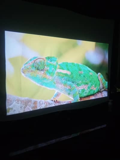 aukey rd-860 Malaysian