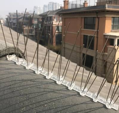 BIRDS SPIKES