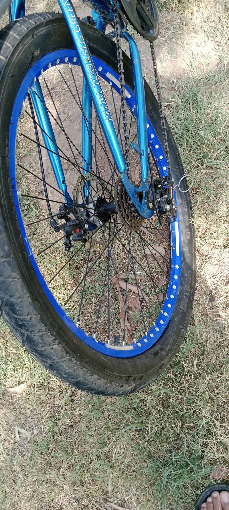 bicycle 5