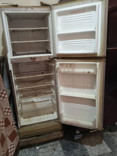 medium size fridge