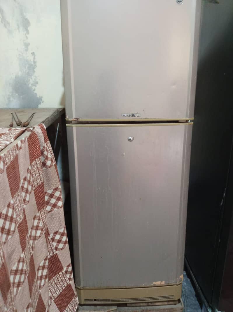 medium size fridge 1