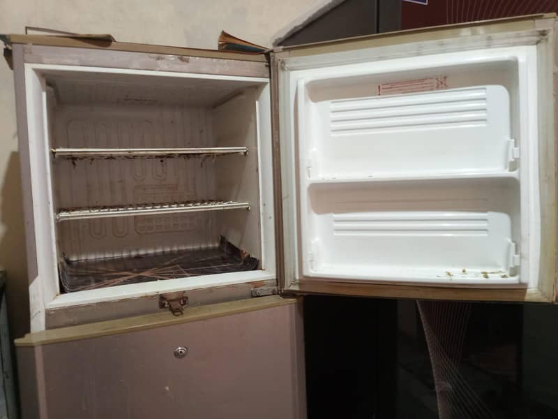 medium size fridge 7