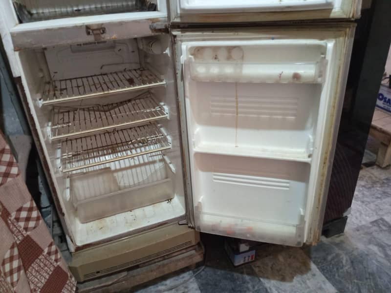medium size fridge 8