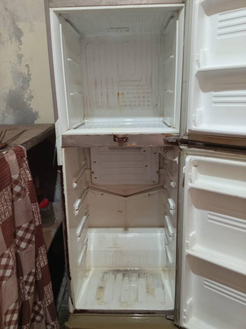 medium size fridge 10