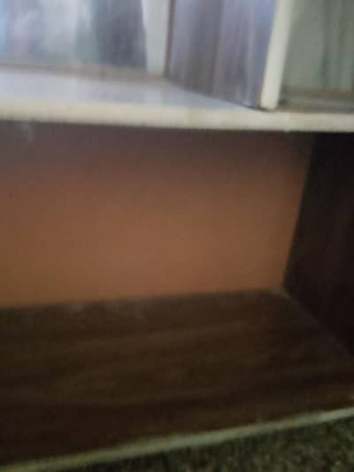 counter general store