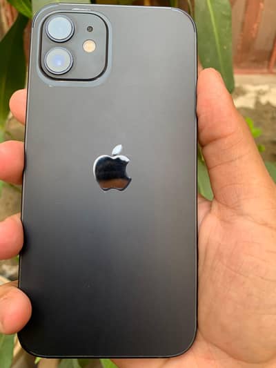Apple iPhone 12 water pack