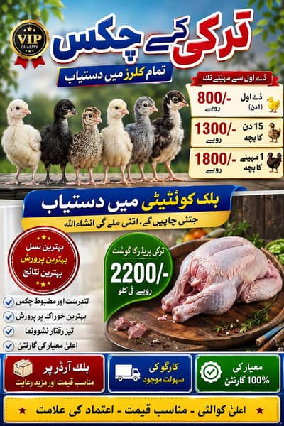 AU TURKEY FARAM