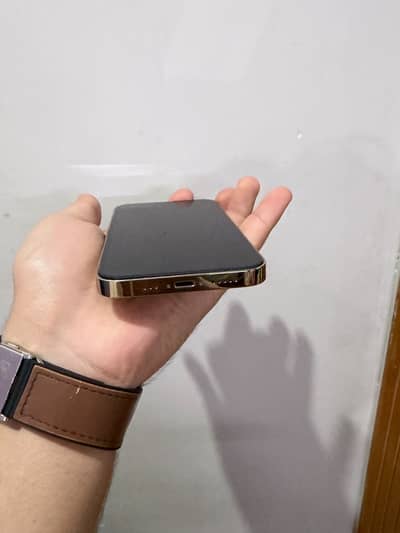 Apple iPhone 13 Pro