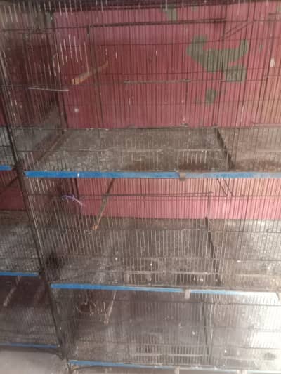 Birds cages good coundition