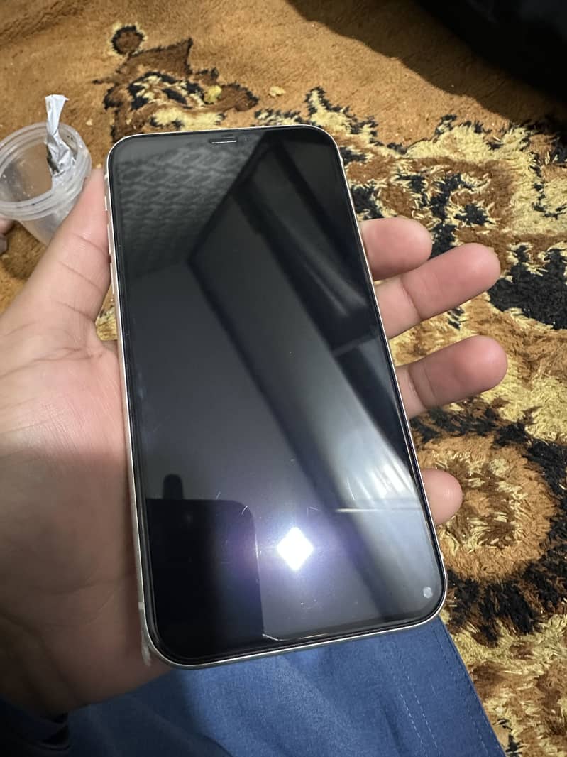 Apple iPhone 11 0