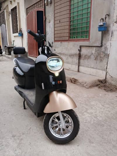Evee Nisa Super Sale