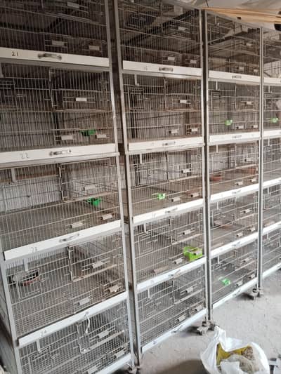 cages for sale