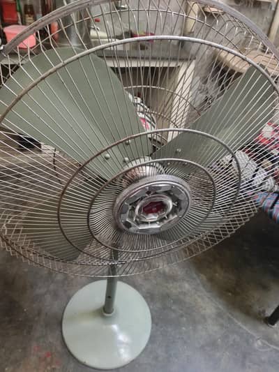 new fan