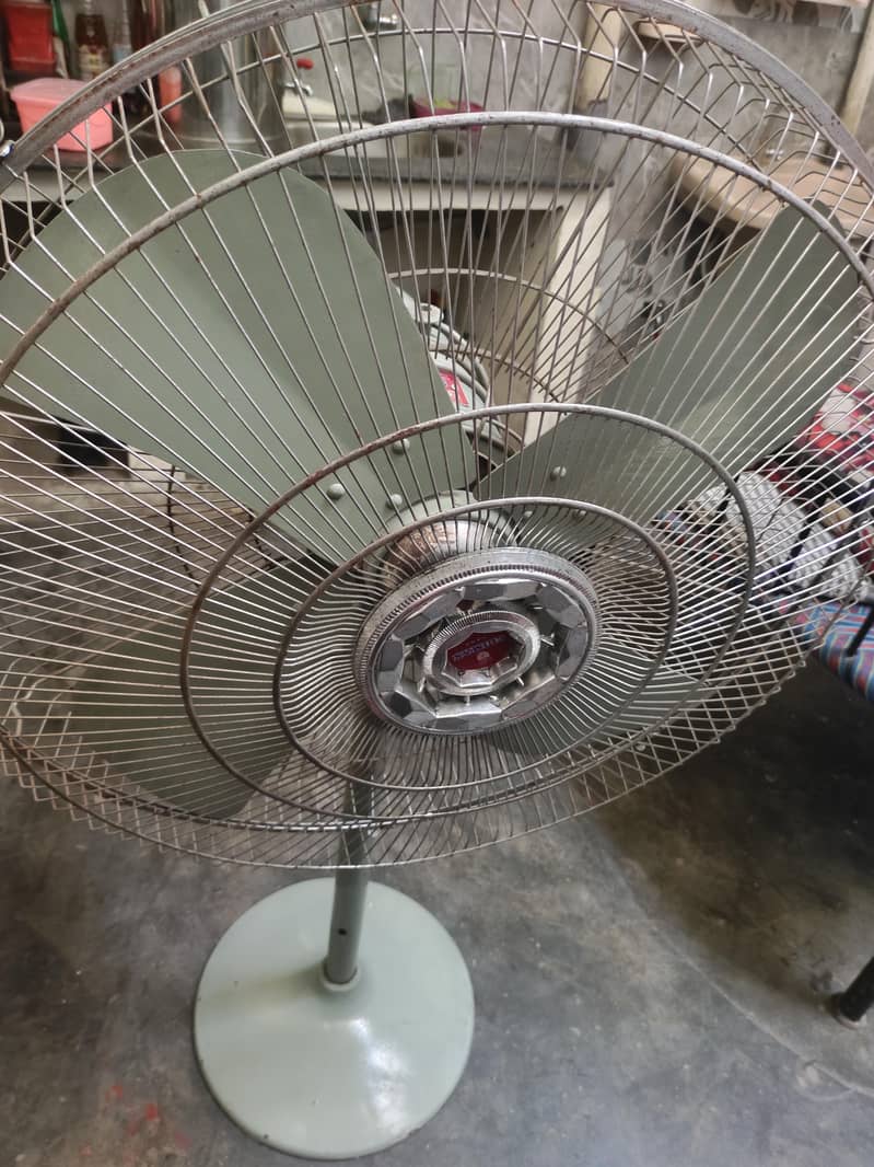 new fan 0