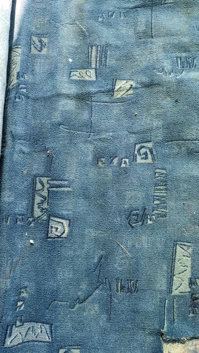 Carpet 10 by 12