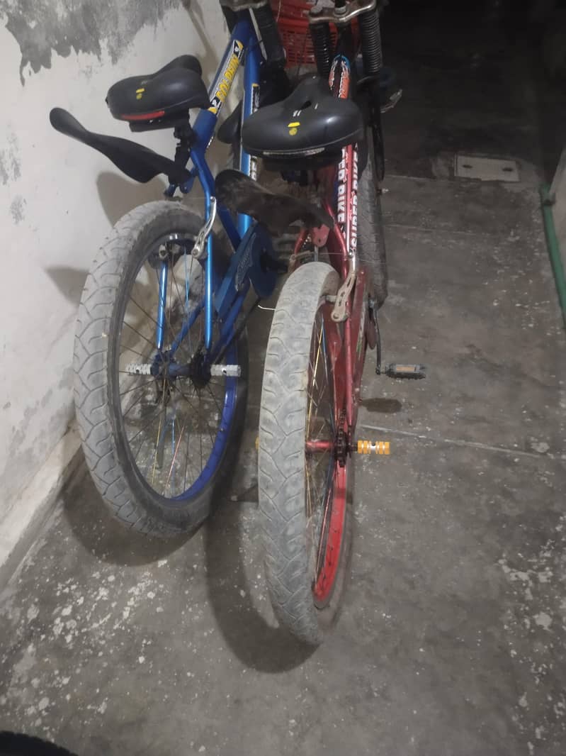 Big size cycle 4