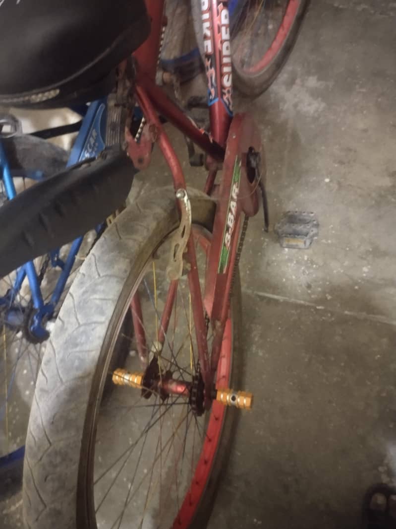 Big size cycle 6