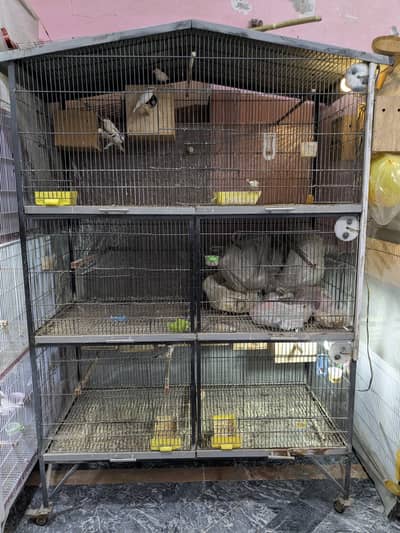 3-Portion Big Bird Cage for Sale