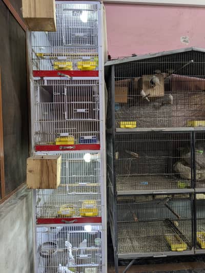 4-Portion Vertical Bird Cage for Sale (Ali Cage Brand)