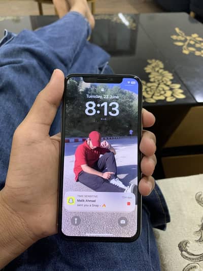 Apple iPhone X