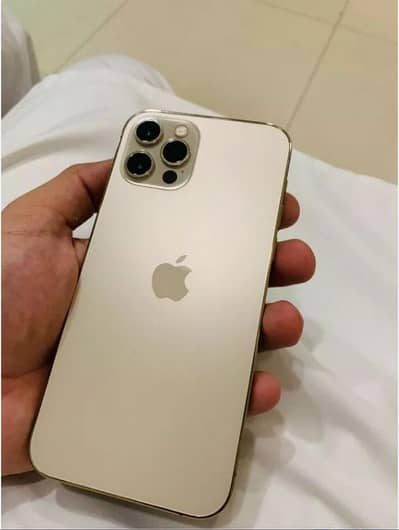 Apple iPhone 12 Pro Max
